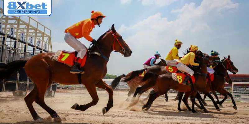 Khám phá quyền lợi khi chơi đua ngựa nhà cái 8XBET
